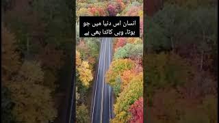 Inspirational quote | Dr. Daud Mirza| #youtubeshorts | #shortsfeed|#youtubeshorts