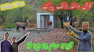 Kotal Wild Life Park Kohat 2022 | Kohat Zoo | #kohat #Kohatzoo #kpk