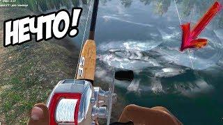 Что-то большое обрывает леску! СИМУЛЯТОР РЫБАЛКИ! - Fishing Planet