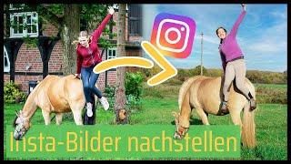  BEKANNTE Instagram-Posts NACHSTELLEN mit den Ponys  // Blondis auf Fjordis