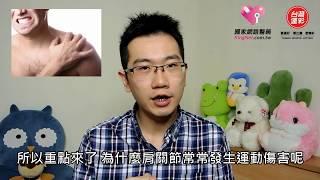 手抬高就痛！小心 『肩關節夾擠症候群』 找上您！_蒼藍鴿｜KingNet國家網路醫藥