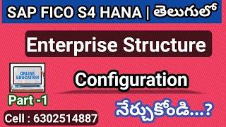 Enterprise Structure Configuration in SAP FICO S4 HANA Telugu - By Lokesh