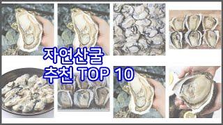 자연산굴 추천 비교분석 가격, 상품평, 구매량 순위 TOP 10