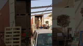 Tarina Solar 345W A Grade   Half cell 144 (10 to 25)y waranty