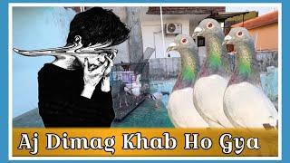 Aj Dimag Kharab Ho Gya Hai | X Fighter Birds