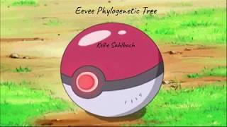 5-1A: Eevee Phylogenetic Tree