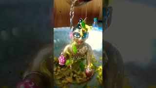 gopu Sona r Sanu dorshon Radhe Radhe 