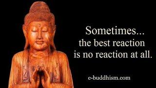 Buddha Quotes That Will Change Your Mind | Buddha Quotes On Life | Wonder Zone