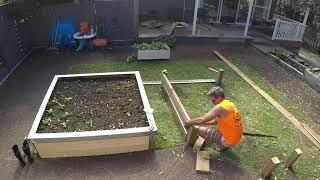 Kingi's Garden Timelapse 2020