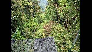 Selvatura Park Zipline, Monteverde, Costa Rica