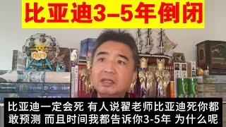 翟山鹰：为什么说中国的电动汽车行业肯定完蛋丨比亚迪3-5年倒闭