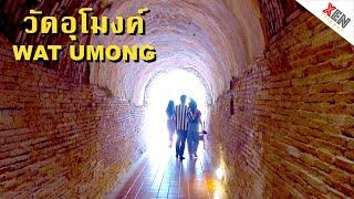 Amazing… Tunnel in the temple, WAT UMONG, Chiang Mai | XenTripper