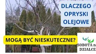 Dlaczego opryski preparatami olejowymi mogą być nieskuteczne?