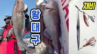 동해 왕 대구지깅 채비법 액션법 공개 대구채비 루어낚시