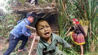 Harvest yellow sugar cane and sell it at the market. Found out my son went out and got lost