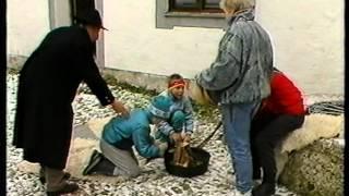 Traunwalchen_Orff auf Schloß Pertenstein