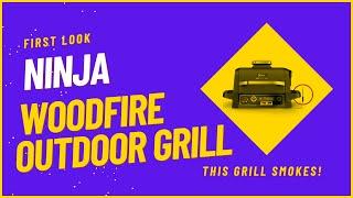 Ninja Wood Fire Outdoor Grill (first look) at the electric outdoor grill that also is a smoker!