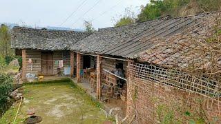 Filial daughter spends $50,000 renovation and building her grandma old house into a beautiful villa