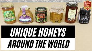 AMAZING HONEY TASTE TEST! | FASCINATING Comparison! | World’s BEST HONEY??? -Tupelo Acacia, Manuka..