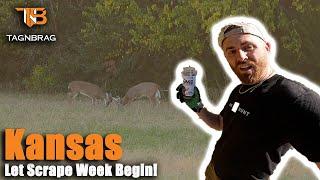 Kansas Bowhunting - Scrape Week