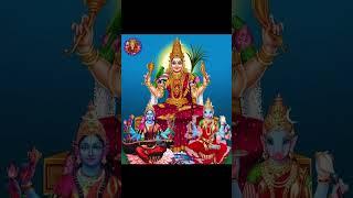 Shri varahi Sannidhi #varahi #varahikavasam #varahitemple #lalitha#rajashyamala#shyamala#lalithadevi