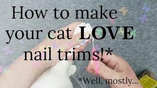 How to trim your cat's nails! Helpful tips and suggestions