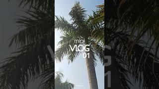 Mini Vlog 01 | Instagram reels | Sean Paul - No Lie ft. Dua Lipa | Shot on Realme 8 | Zodiac