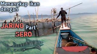 Catch fish with sero nets Part 3 ||  Fish trap @Azphen Palopo