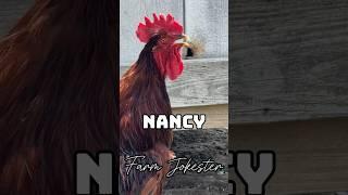 Nancy come get your rooster!#rooster #chickens #funnyanimals #farmjokester #nameyellingchicken