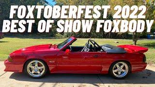 Foxtoberfest Best of Show Winner