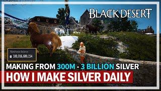 How Much Silver Do I Make Daily? & Tips for Everyone | Black Desert