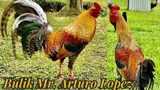 BULIK ‼️Mr. Arturo Lopez ARL FARM