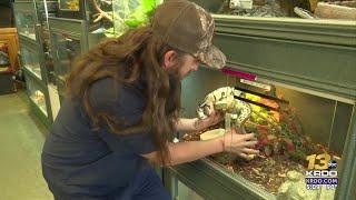 Stolen reptiles returned to Southern Colorado shop a month after theft