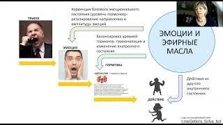 Аромапсихология и ..лимон. Эксклюзивно для лимонного челенджа.