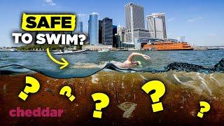 NYC’s Hudson River: Clean Enough To Swim In? - Cheddar Explains