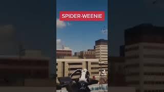 Spider-Weenie: No Way Home