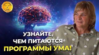 Как программы ума влияют на вашу жизнь, здоровье и исполнение желаний