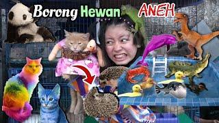 Borong Hewan Lucu, Bebek, Kucing Warna Warni, Landak, Bunglon ! Digigit ikan Perut Gendut