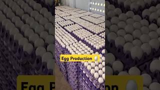 Behind Egg Production