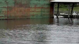 Barges break loose in Back Bay of Biloxi, collide with private pier