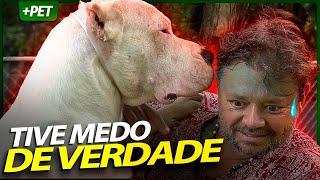 DOGO ARGENTINO, O MAIS EFICIENTE PARA GUARDA! | RICHARD RASMUSSEN