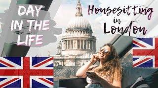 Housesitting in London // Day in the Life Vlog