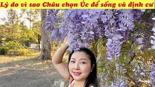 TÂM SỰ SƯỚNG KHỔ CUỘC SỐNG Ở ÚC | NHỮNG CON ĐƯỜNG TRÀN NGẬP HOA GẦN NHÀ CHÂU | CUỘC SỐNG ÚC