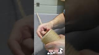 DIY How To Refurbish/Restore Cat Scratching Post - Repair a Cat Tree #Shorts #Cats #ScratchingPost
