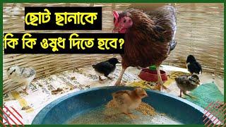 দেশি ছানার জন্য মেডিসিন। Native Chicken Medicine