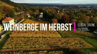 Die Radebeuler Weinberge im Licht der Herbstsonne.