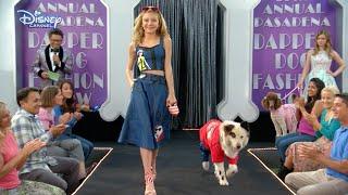 Dog With A Blog | Avery & Stan Walk The Catwalk! | Disney Channel UK HD