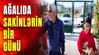 AzTV komandası Zəngilanda: Ağalıda sakinlərin bir günü necə keçir?