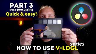 HOW TO use V-logL PART 3: QUICK AND EASY Post-processing