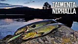 TROUT SURFACE FISHING, GRAYLING FLY FISHING AND ARCTIC CHARR FISHING